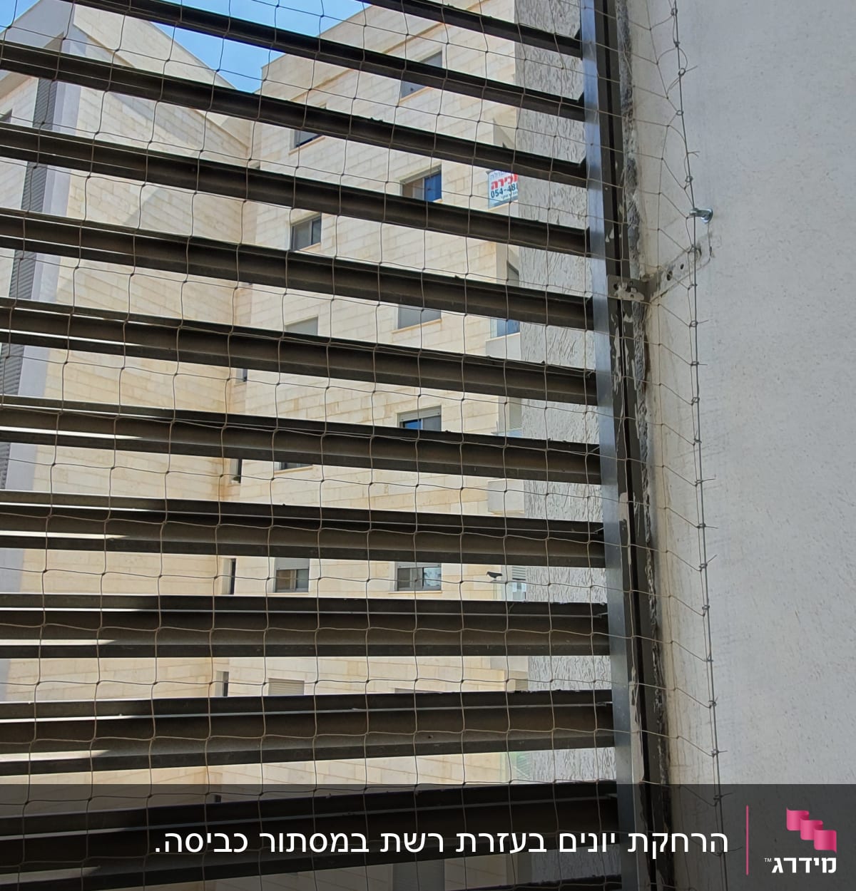 רשת מתוחה על חלון למניעת כניסת יונים